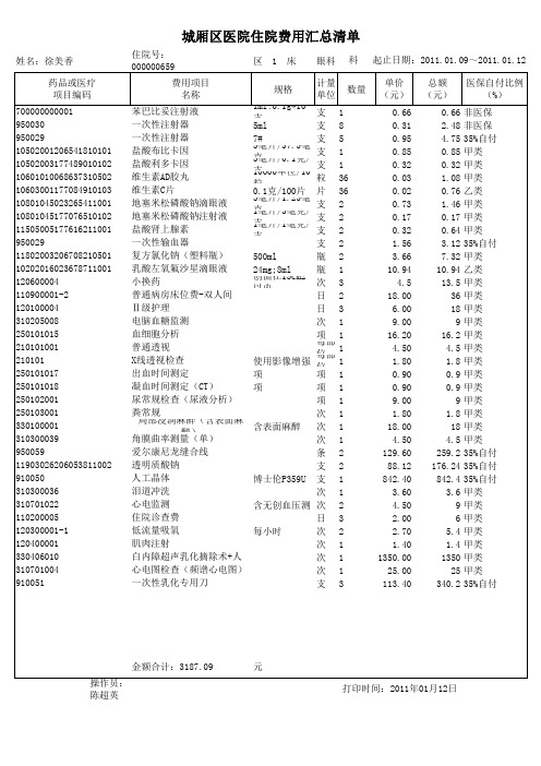 住院费用汇总清单2