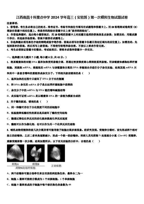 江西南昌十所重点中学2024学年高三(实验班)第一次模拟生物试题试卷含解析