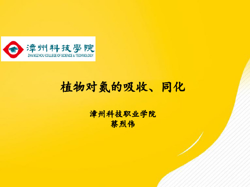 [正式版]植物对氮的吸收、同化ppt资料