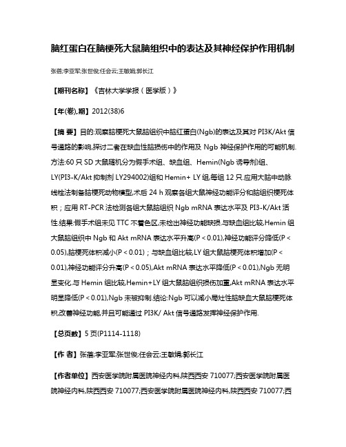 脑红蛋白在脑梗死大鼠脑组织中的表达及其神经保护作用机制