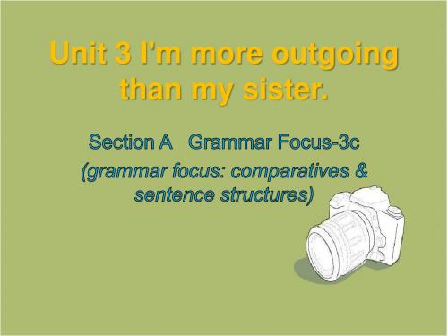 人教英语八年级上册 Unit3Section A   Grammar Focus-3c