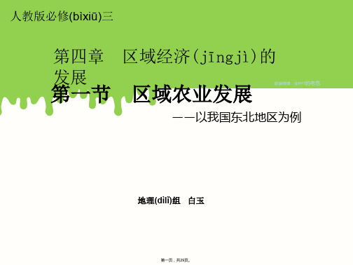 人教版高中地理必修3第四章第一节《区域农业发展——以我国东北地区为例》优质课件(共28张)