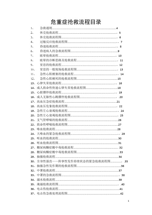 临床各科急救流程图13093