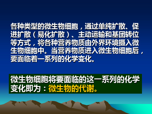 第六章 微生物的代谢  南京林业大学 微生物 周德庆版_PPT幻灯片