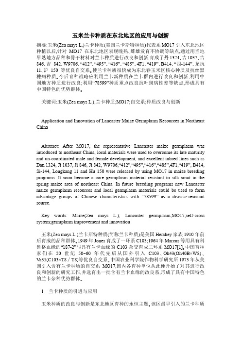 玉米兰卡种质在东北地区的应用与创新