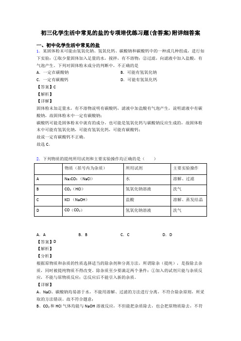 初三化学生活中常见的盐的专项培优练习题(含答案)附详细答案