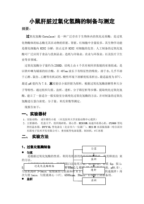 小鼠肝脏过氧化氢酶的制备与测定