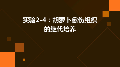 实验2-4胡萝卜愈伤组织的继代培养