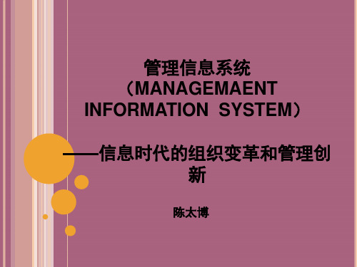 管理信息系统第七章  实现卓越的运营：企业应用ppt课件