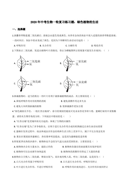 【精品整理】2020年中考生物一轮复习练习题：绿色植物的生活(1)