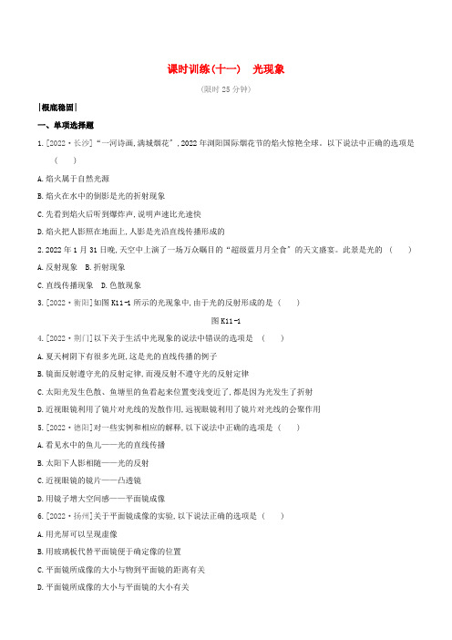 鄂尔多斯专版2022中考物理复习方案第一篇教材梳理课时训练11光现象试题