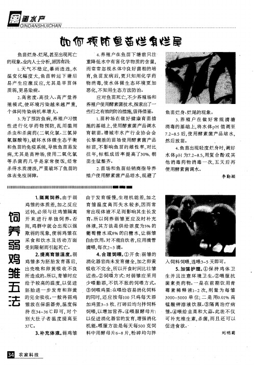 饲养弱鸡雏五法