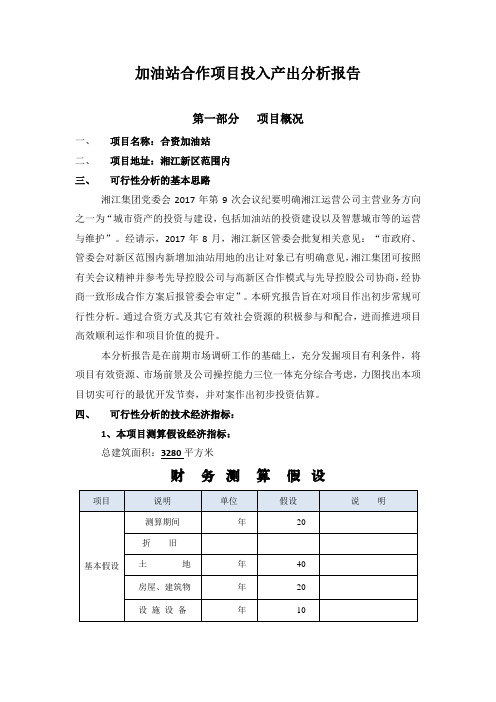 加油站合作项目投入产出分析报告