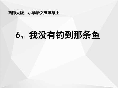 《我没有钓到那条鱼》课件