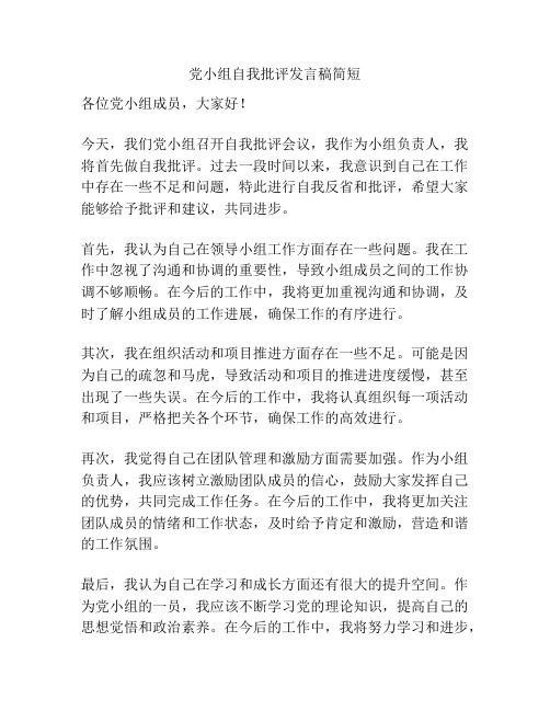 党小组自我批评发言稿简短