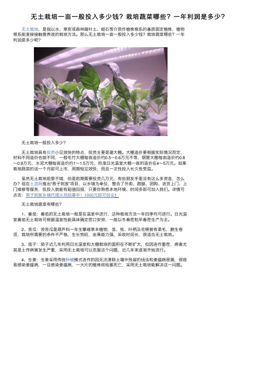 无土栽培一亩一般投入多少钱？栽培蔬菜哪些？一年利润是多少？