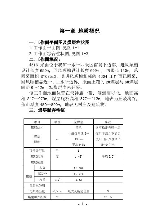 4313放顶煤回采作业规程(H)1