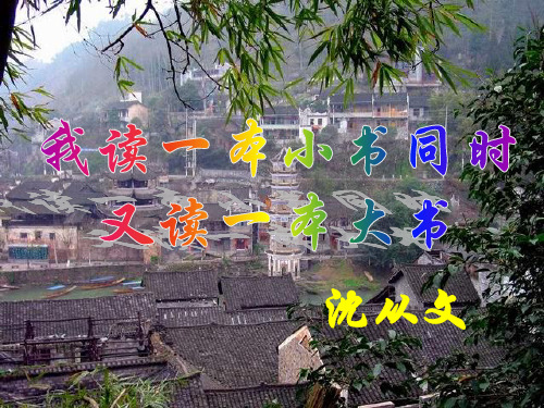我读一本小书同时又读一本大书
