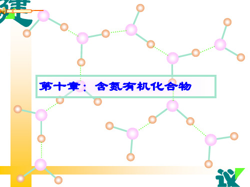 有机化学-胺与杂环化合物