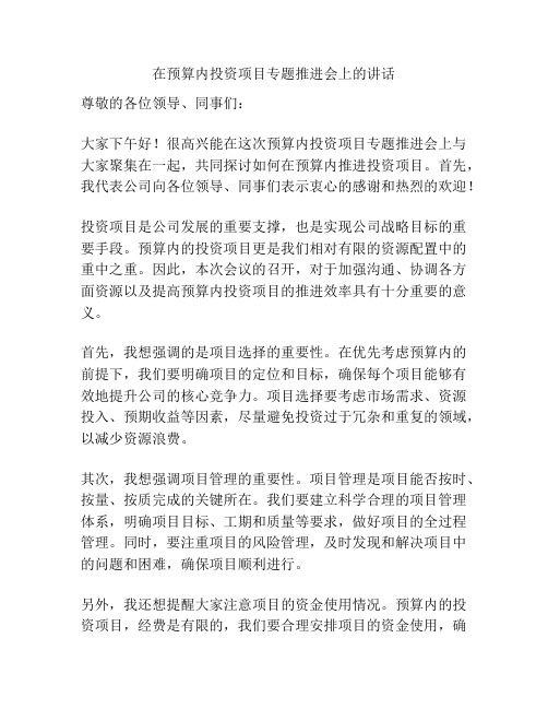 在预算内投资项目专题推进会上的讲话