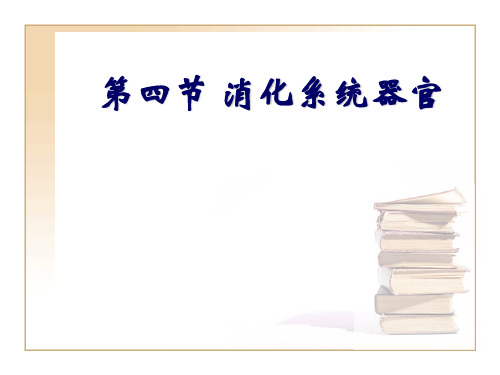 消化系统器官PPT课件