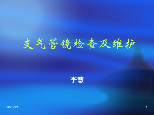 支气管镜及其临床应用PPT参考幻灯片