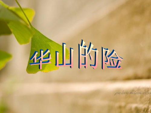西师大版小学四年级下册语文课件-7.华山的险
