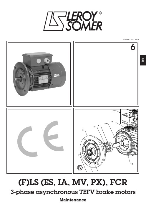 乐罗沃-沃米3相异步TEFV刹车电动机维修指南说明书