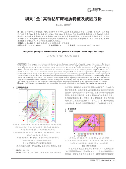 刚果(金)某铜钴矿床地质特征及成因浅析