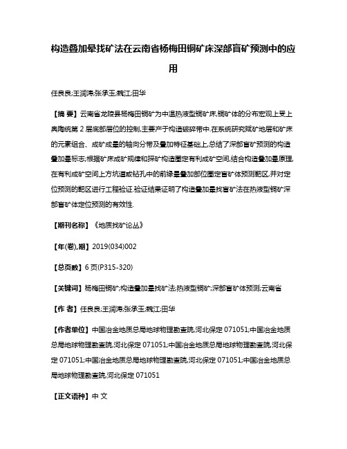 构造叠加晕找矿法在云南省杨梅田铜矿床深部盲矿预测中的应用