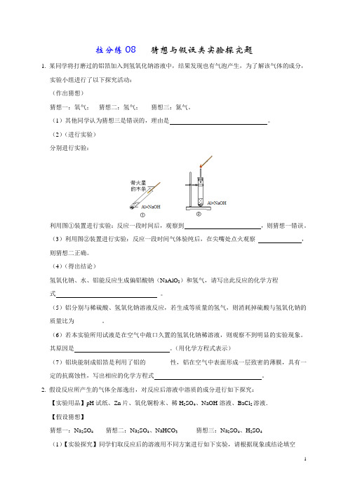 2020年中考化学拉分题专练—实验探究及推断题专练08 猜想与假设类实验探究题(学生版)