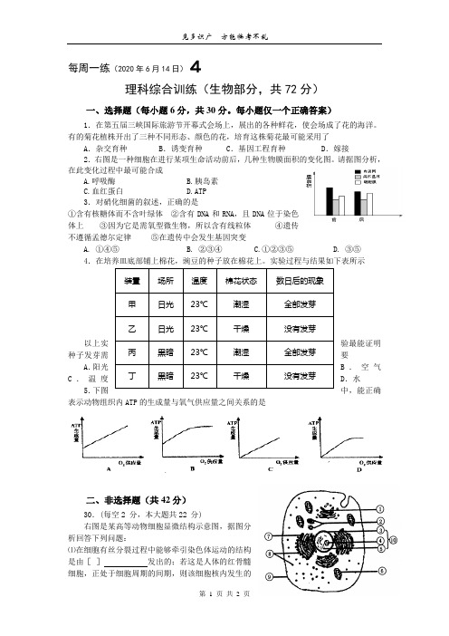 每周一练4