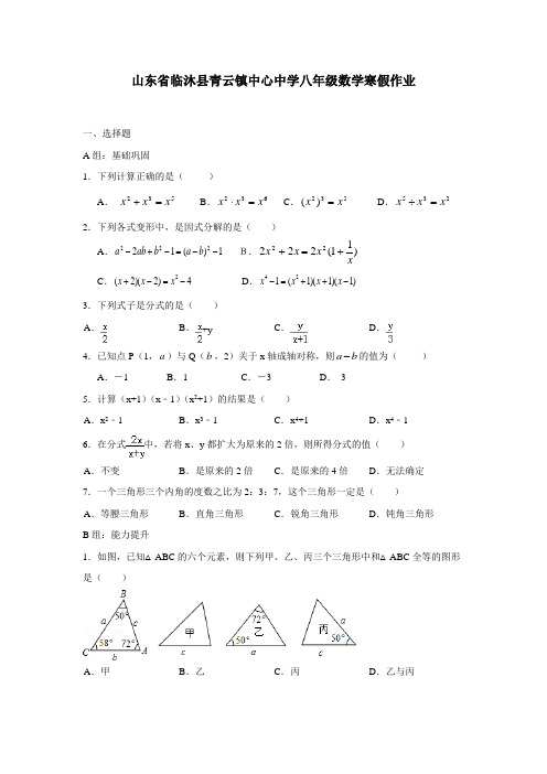 山东省临沐县青云镇中心中学八年级数学寒假作业(无答案)