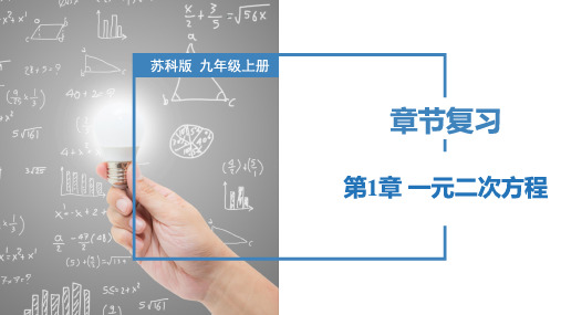 第1章 一元二次方程(章末复习)九年级数学上册(苏科版)