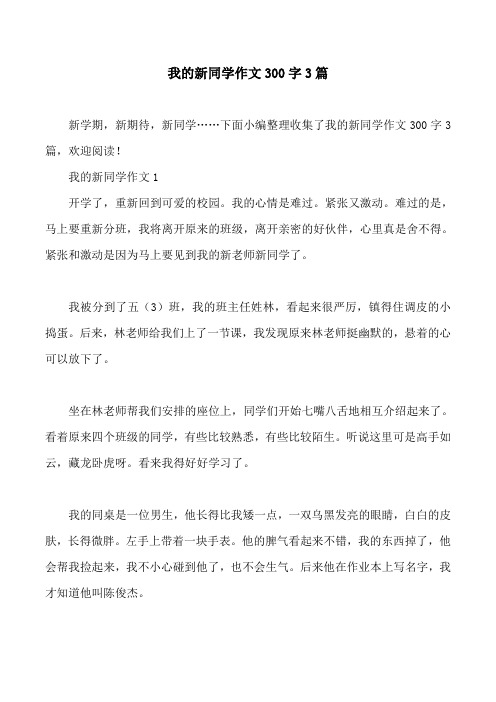 我的新同学作文300字3篇