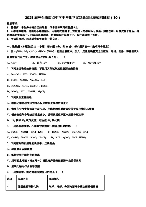 2025届黄石市重点中学中考化学试题命题比赛模拟试卷(10)含解析