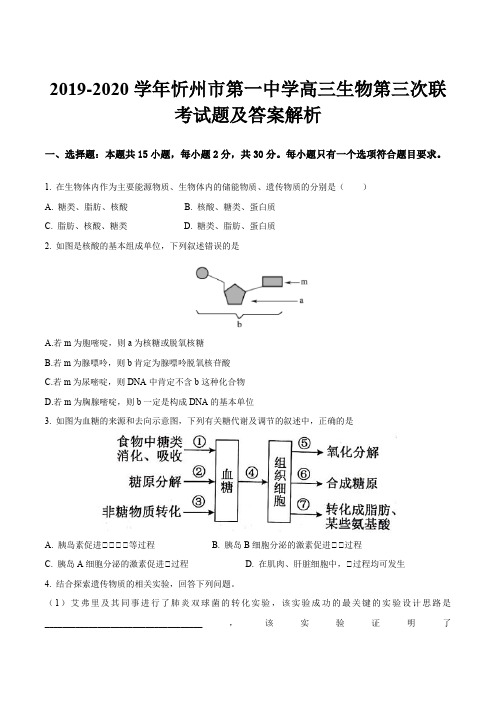 2019-2020学年忻州市第一中学高三生物第三次联考试题及答案解析