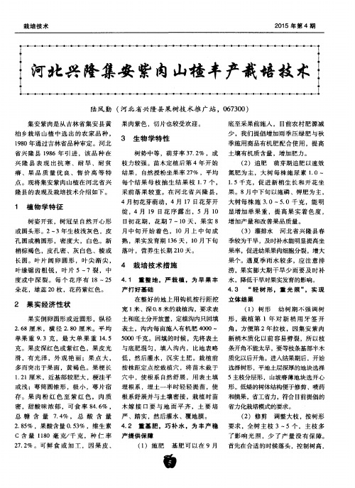 河北兴隆集安紫肉山楂丰产栽培技术