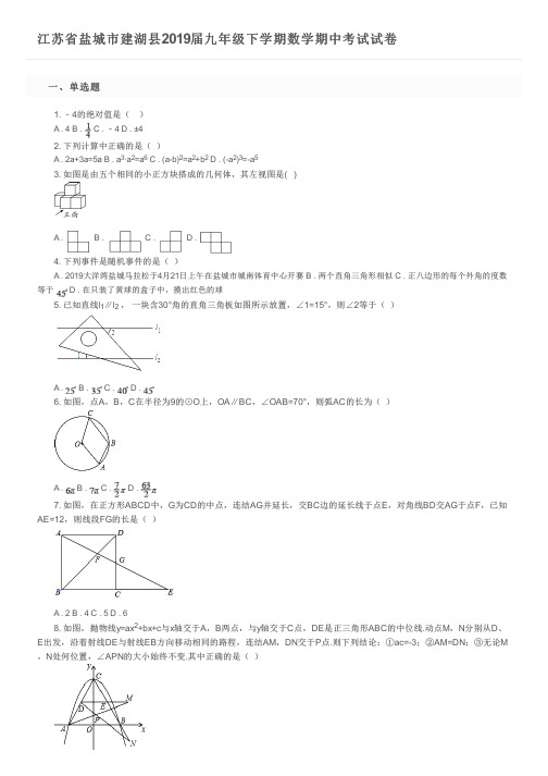 江苏省盐城市建湖县2019届九年级下学期数学期中考试试卷及参考答案