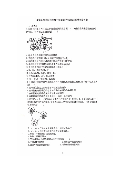 湖南省衡阳县第四中学2019-2020学年高二上学期期中考试生物(重点班选科)试题(A卷) 扫描版含答案