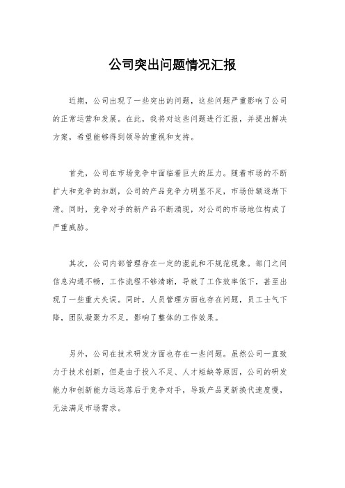 公司突出问题情况汇报