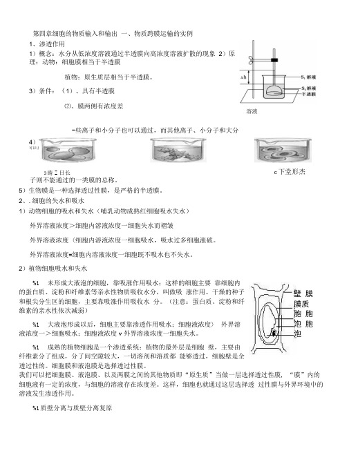 必修1_细胞的物质输入和输出知识点详解(1)文库.doc