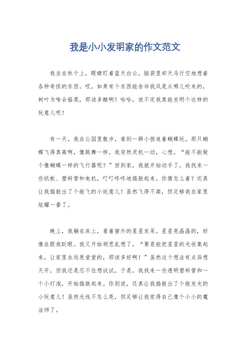 我是小小发明家的作文范文