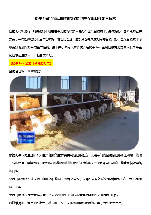 奶牛tmr全混日粮育肥方案_肉牛全混日粮配置技术