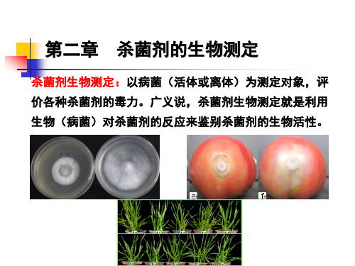 杀菌剂生物测定