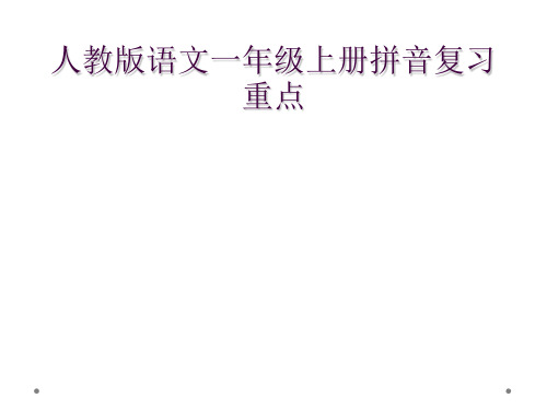 人教版语文一年级上册拼音复习重点