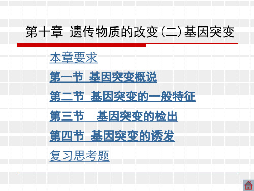 遗传物质的改变(二基因突变(精)