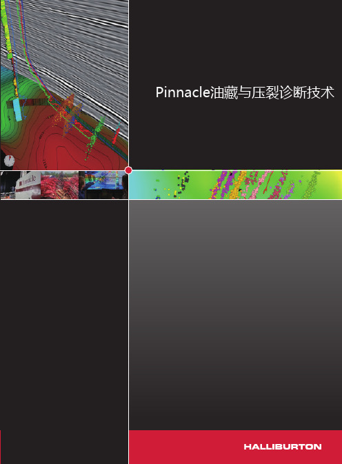 PINNACLE技术