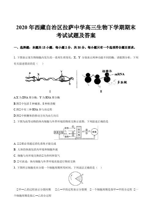 2020年西藏自治区拉萨中学高三生物下学期期末考试试题及答案