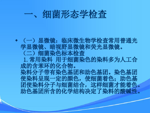 微生物学基本实验方法和诊断